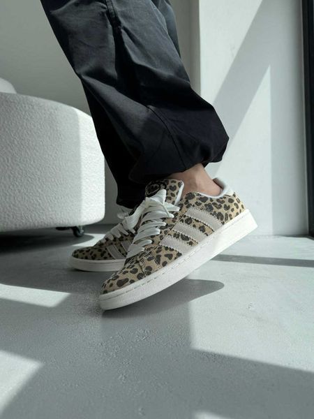 Кросівки Adidas Campus Leopard 16532-Леопардовий-36 фото